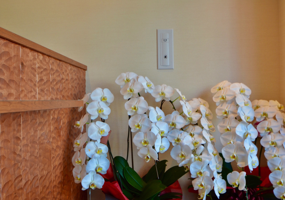 北海道 おはぎ よしかわ